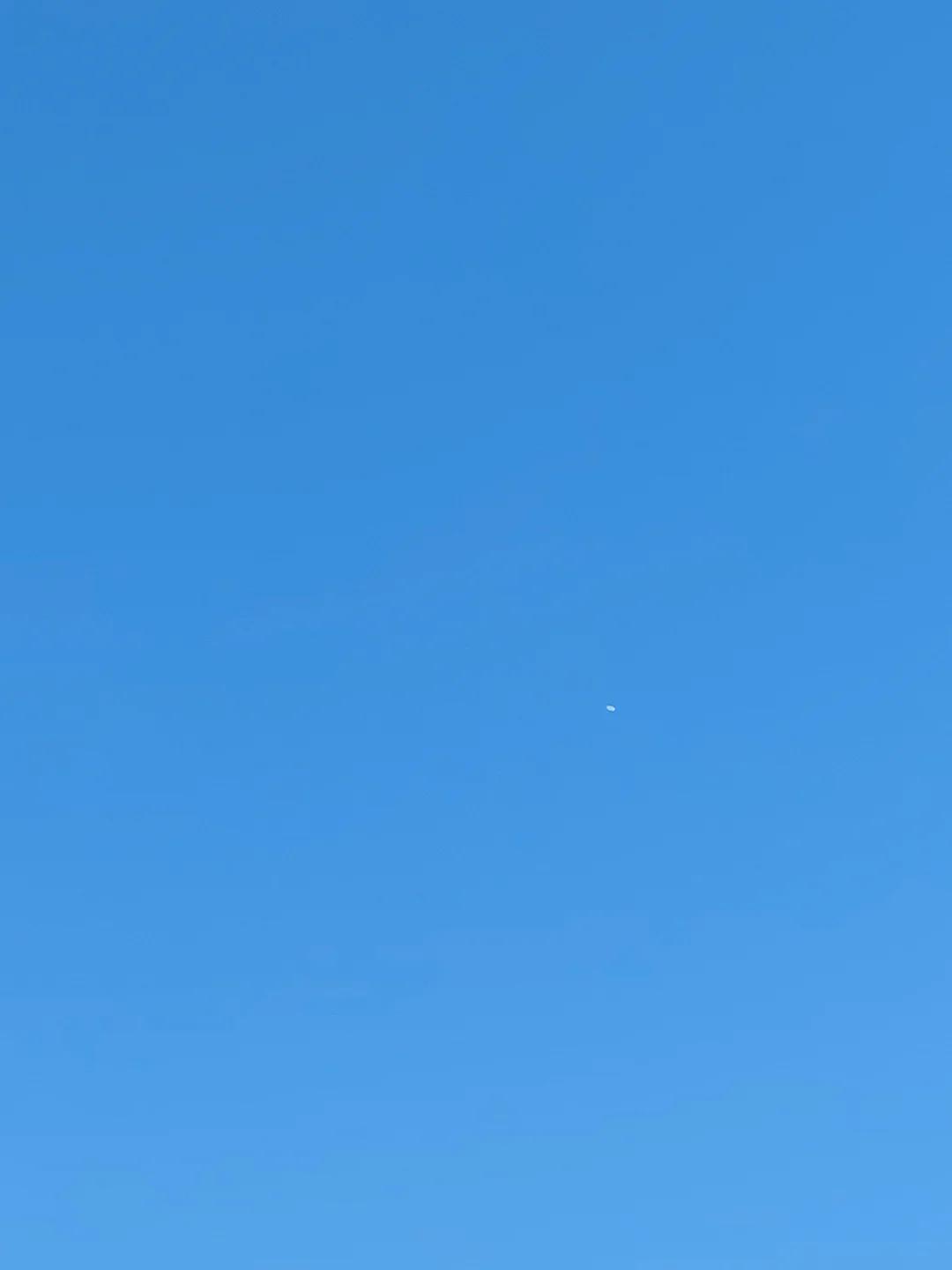 这种东西我也拍到过