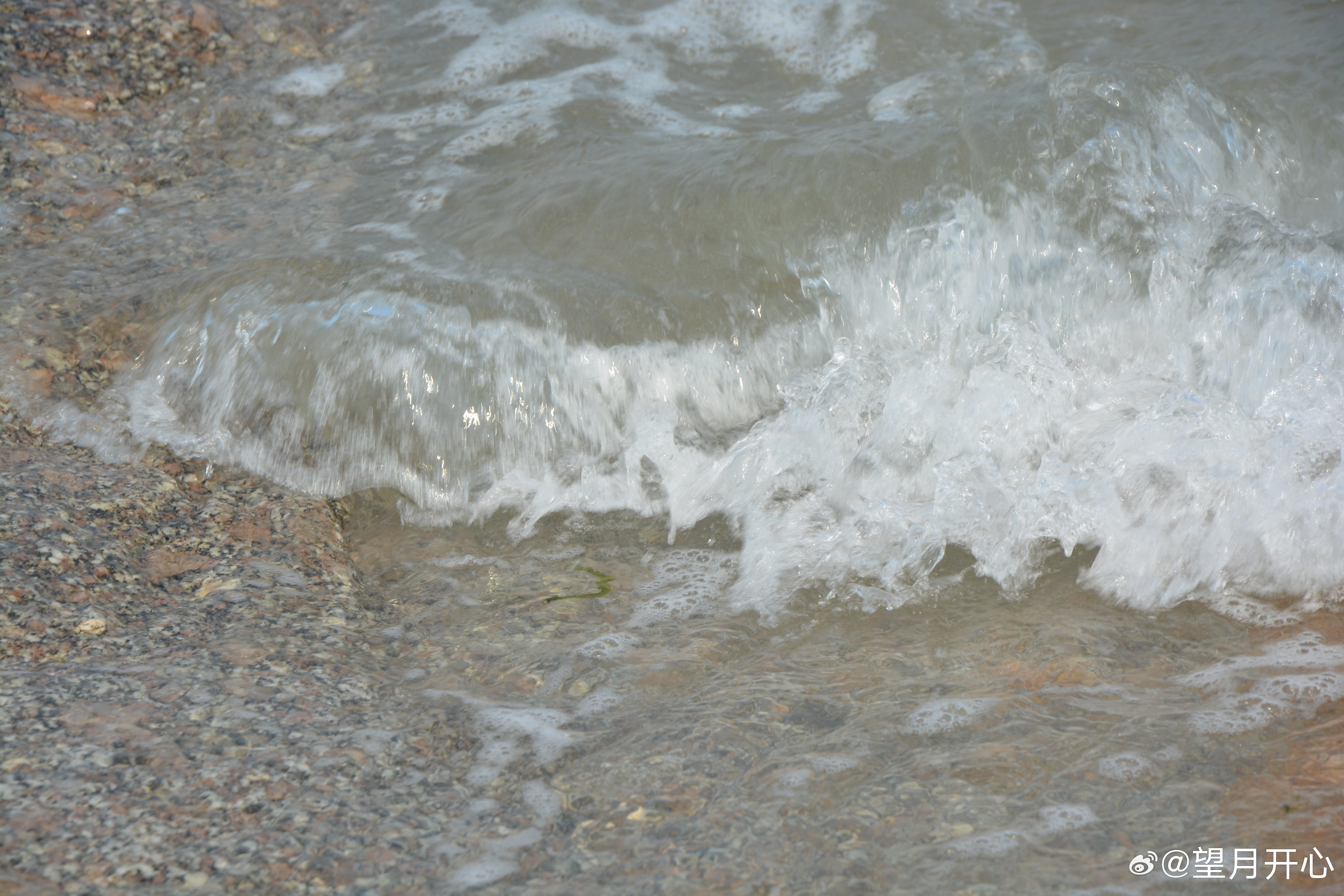 有生命的感觉有飞翔的欢乐有踏春的尖叫有海浪的欢腾 