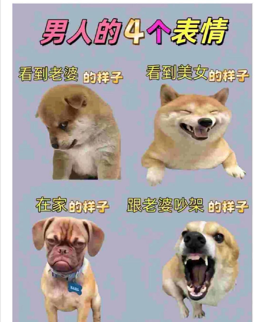 关于男人的“终极安定方案”考察报告

男人为啥总被吐槽？
除非挂上墙，不然难老实