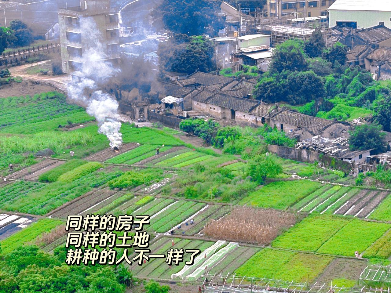 老房子还在，门前的土地依旧肥沃，只是当年挥锄耕种的人，早已换了模样。岁月悄悄挪着