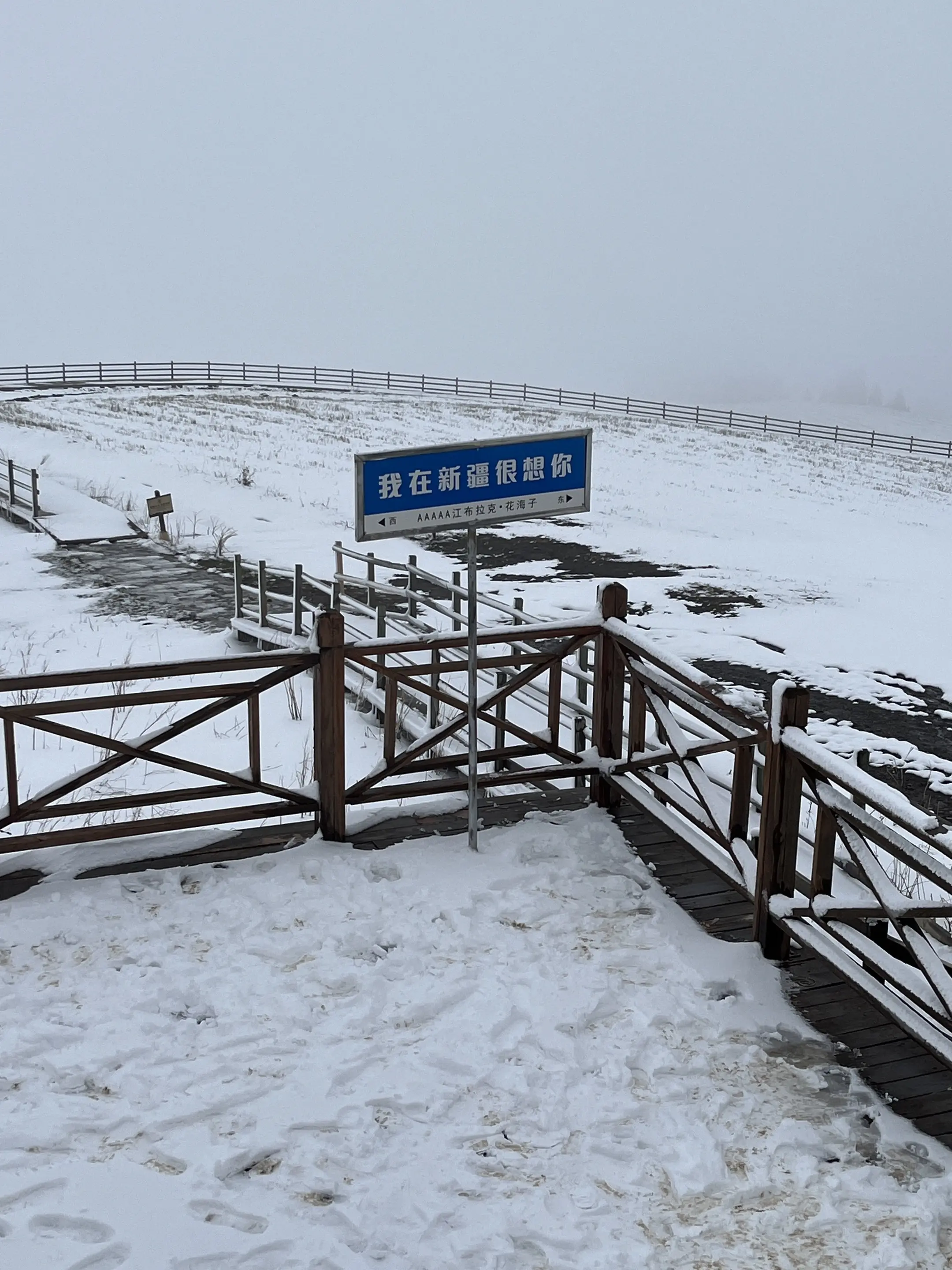 我在新疆好想你
