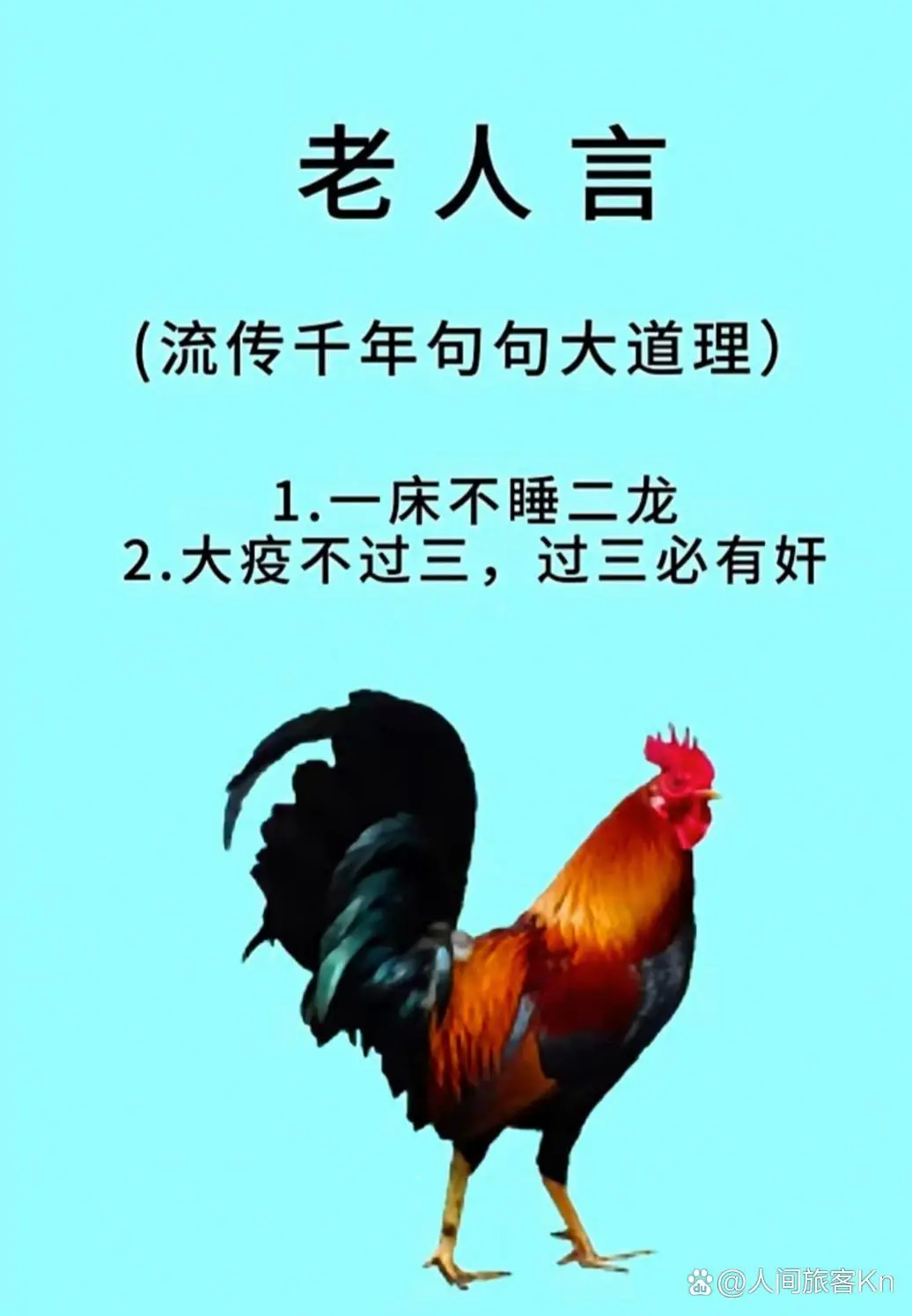 不听老人言吃亏在眼前 老人言受益一生 每天学习一点点 知识就是力量 传扬中华文化