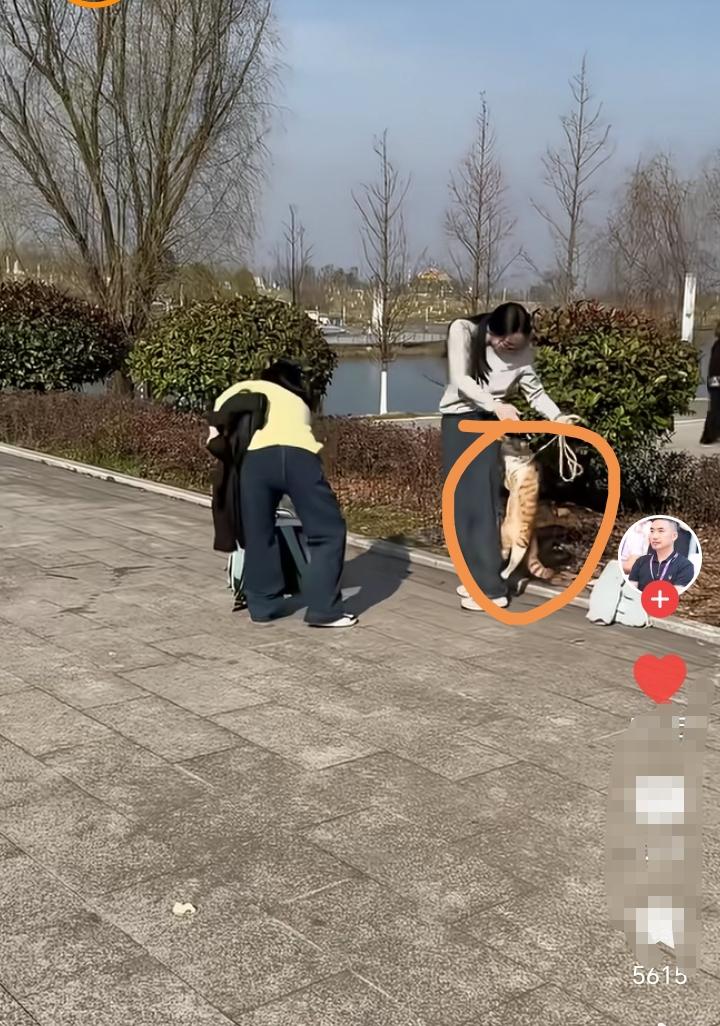 五一假期！女孩带着自己养的小花猫出去玩！这一路上有猫的陪伴女孩心情美极了！突然小