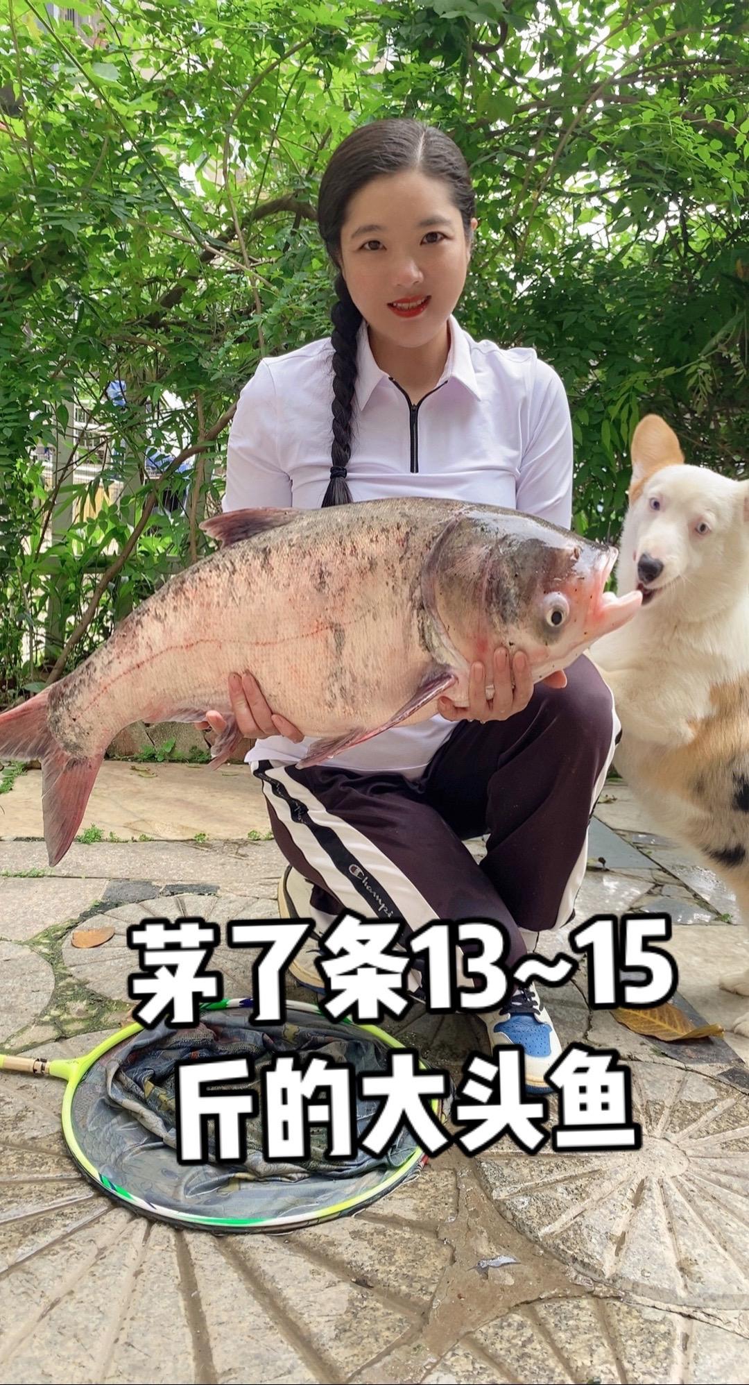 “冒个泡，运气好🍀收杆茅了条13斤的大头鱼🐳，发个图片纪念一下😃...