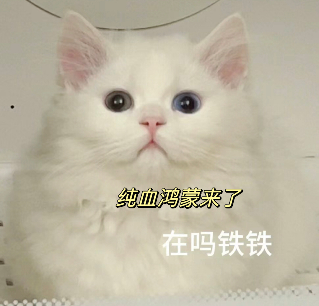 #余承东称纯血鸿蒙实现自主可控#冲浪暂停，恭喜我们终于有自己的操作系统了！！这次