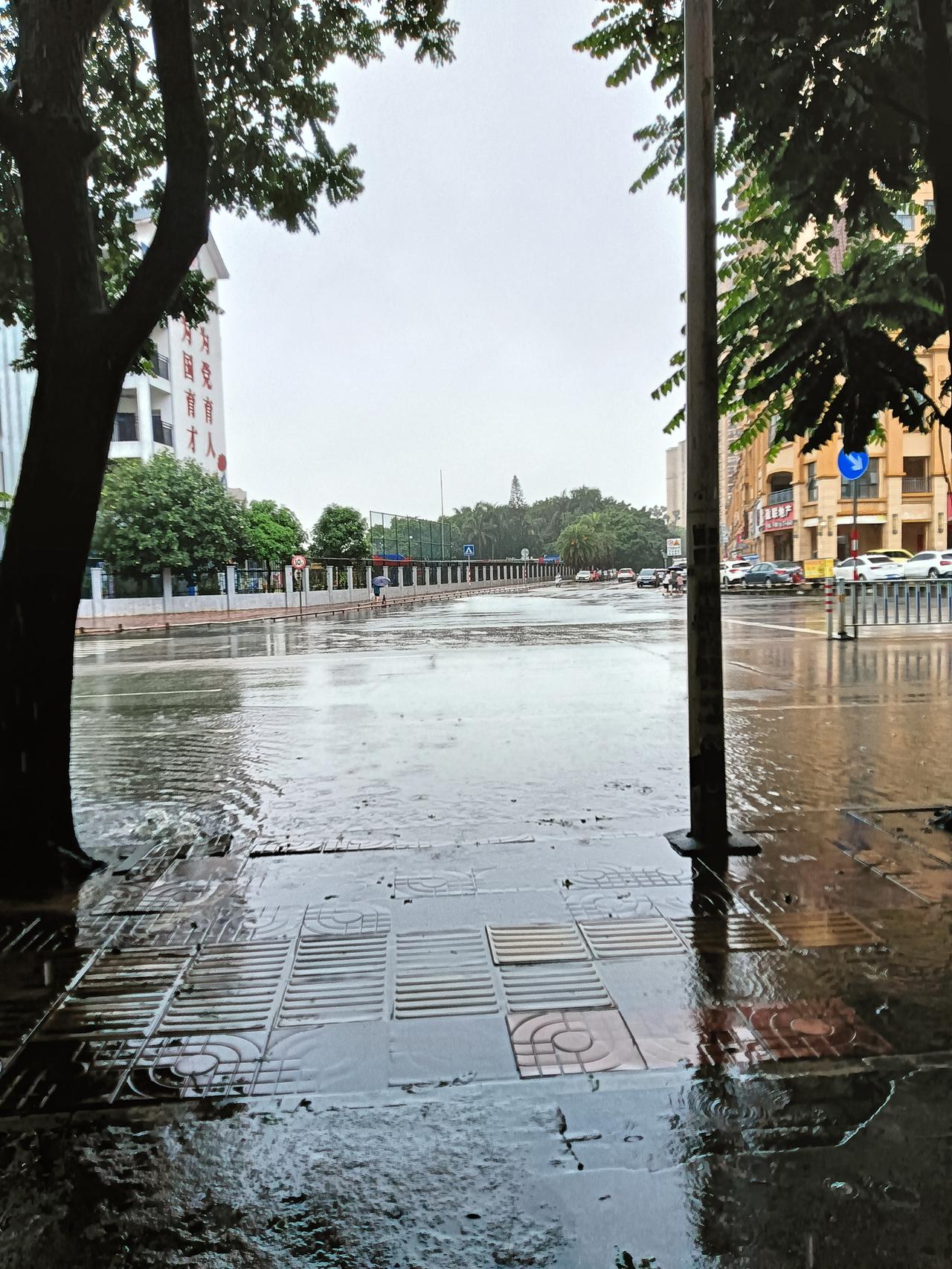 连日的暴雨冲刷下贵港市的城乡水涝严重，城区乡下水淹农作物面积大收成遭重创。早上的