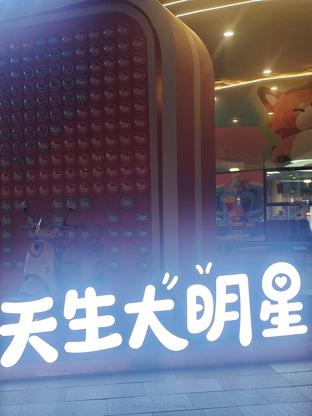 本来还怕你上镜会显平，结果这流畅的鹅蛋轮廓，比后期拉出来的曲线还自然好看。我之前