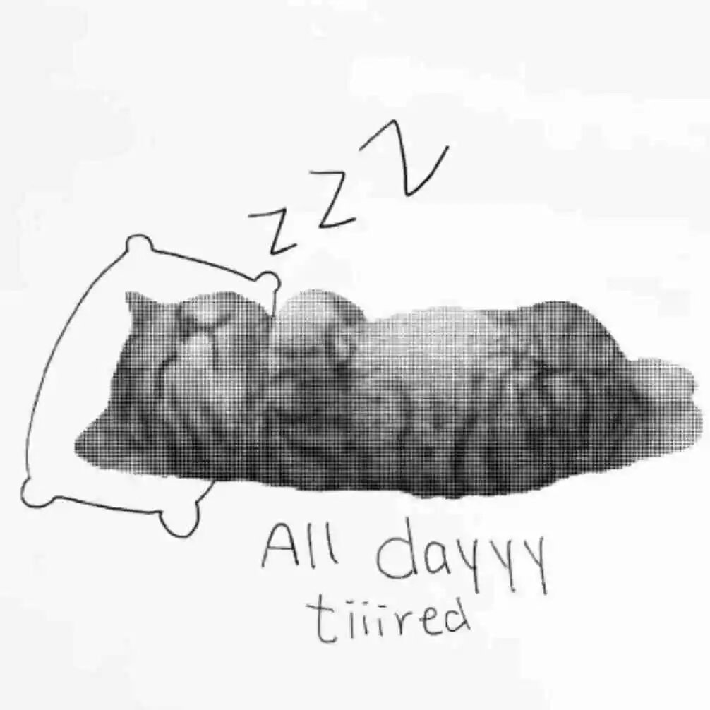 I’m sleepy now! 头像 