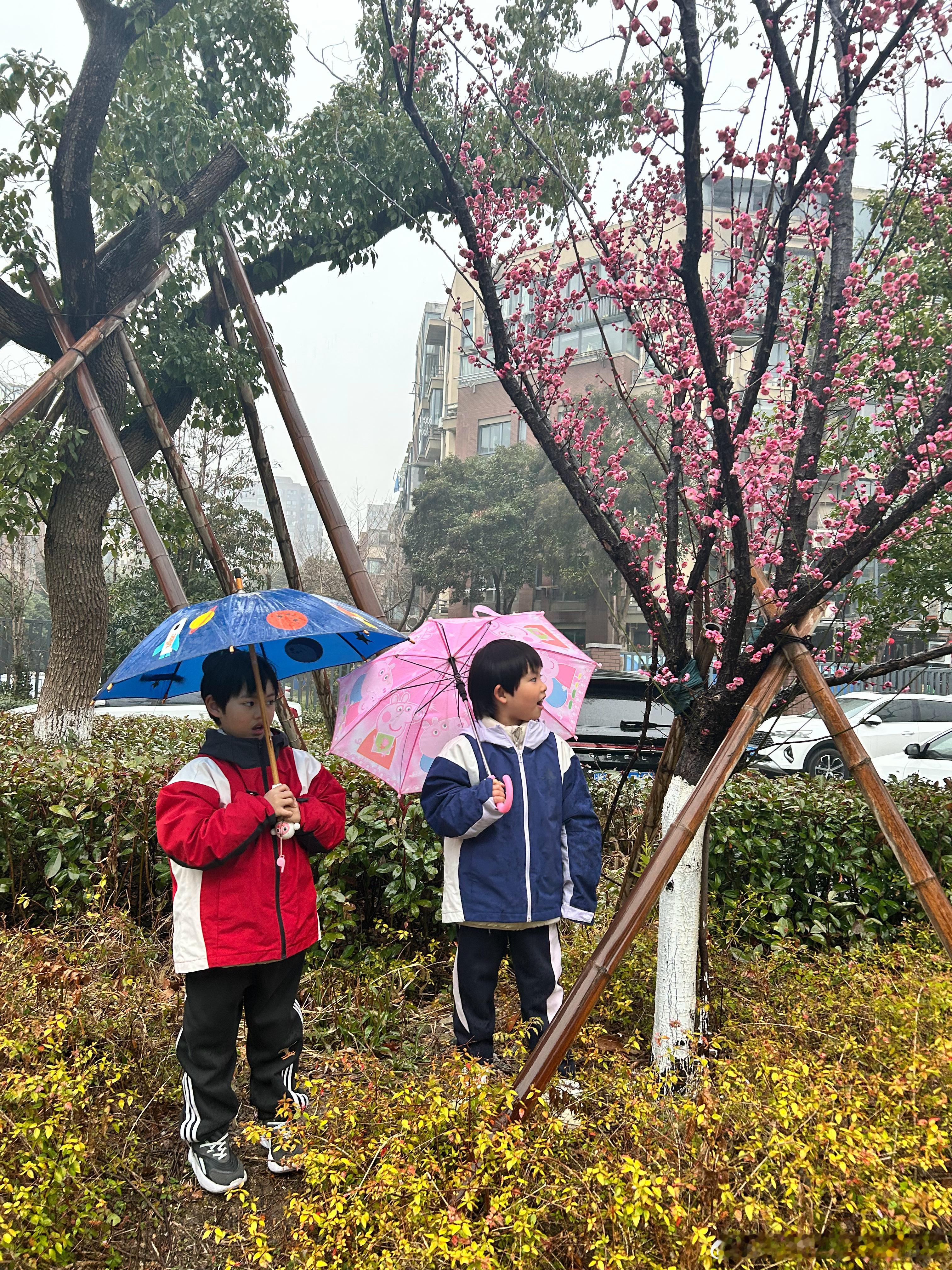 一天没出门。四点多出去透个气，那就带大宝二宝去看我上班路上的那棵梅花树。娃说太好