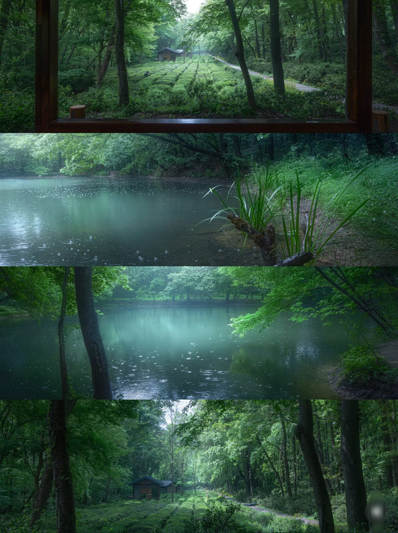 定风波·莫听穿林打叶声宋·苏轼三月七日，沙湖道中遇雨。雨具先去，同行皆狼狈，余独
