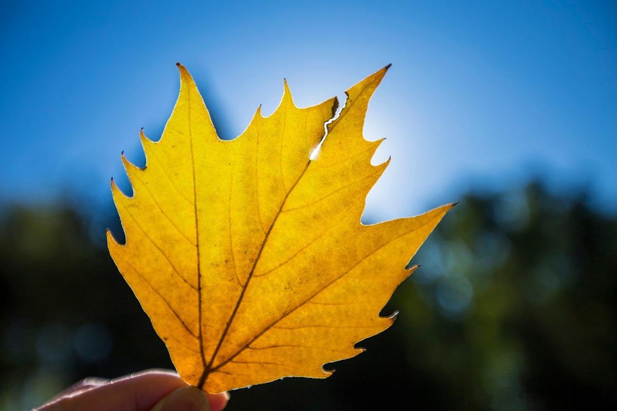 我只要投资公司的钱就行了，有没有增值服务并不重要事实上创业投资机构增值服务还是很