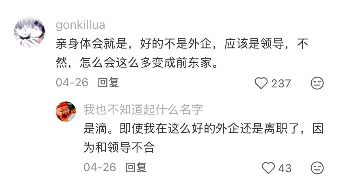 原来这就是留子回国要找的神仙外企啊 