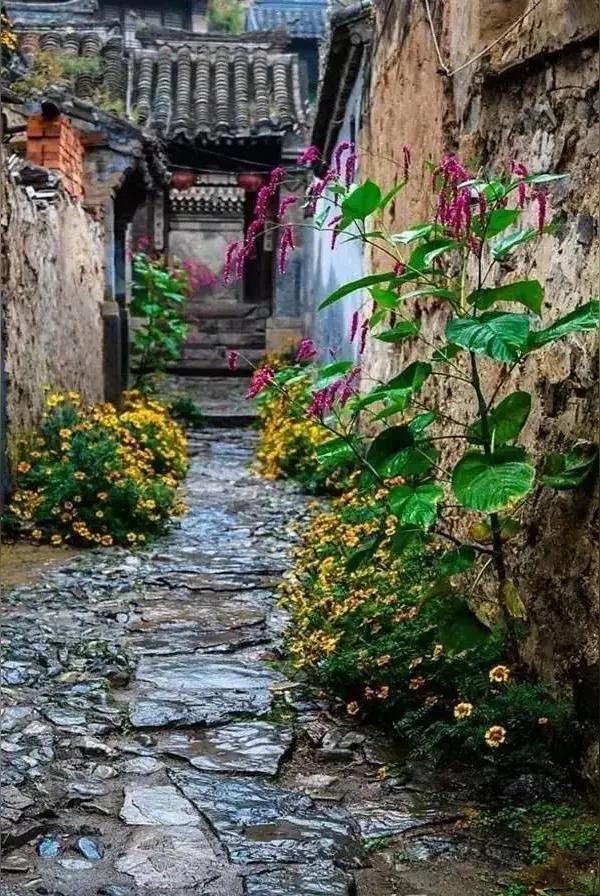 午后的雨来得突然，巷口豆腐坊的蒸汽混着水汽，蒙蒙一片。

躲檐下时，身旁的老伯正