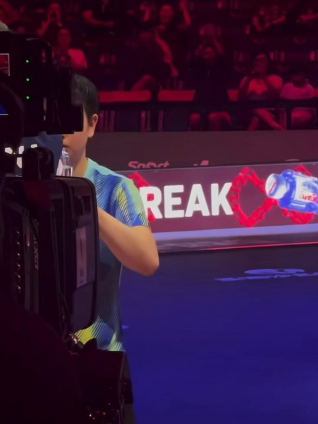 猫猫我来找你了 捉迷藏中 