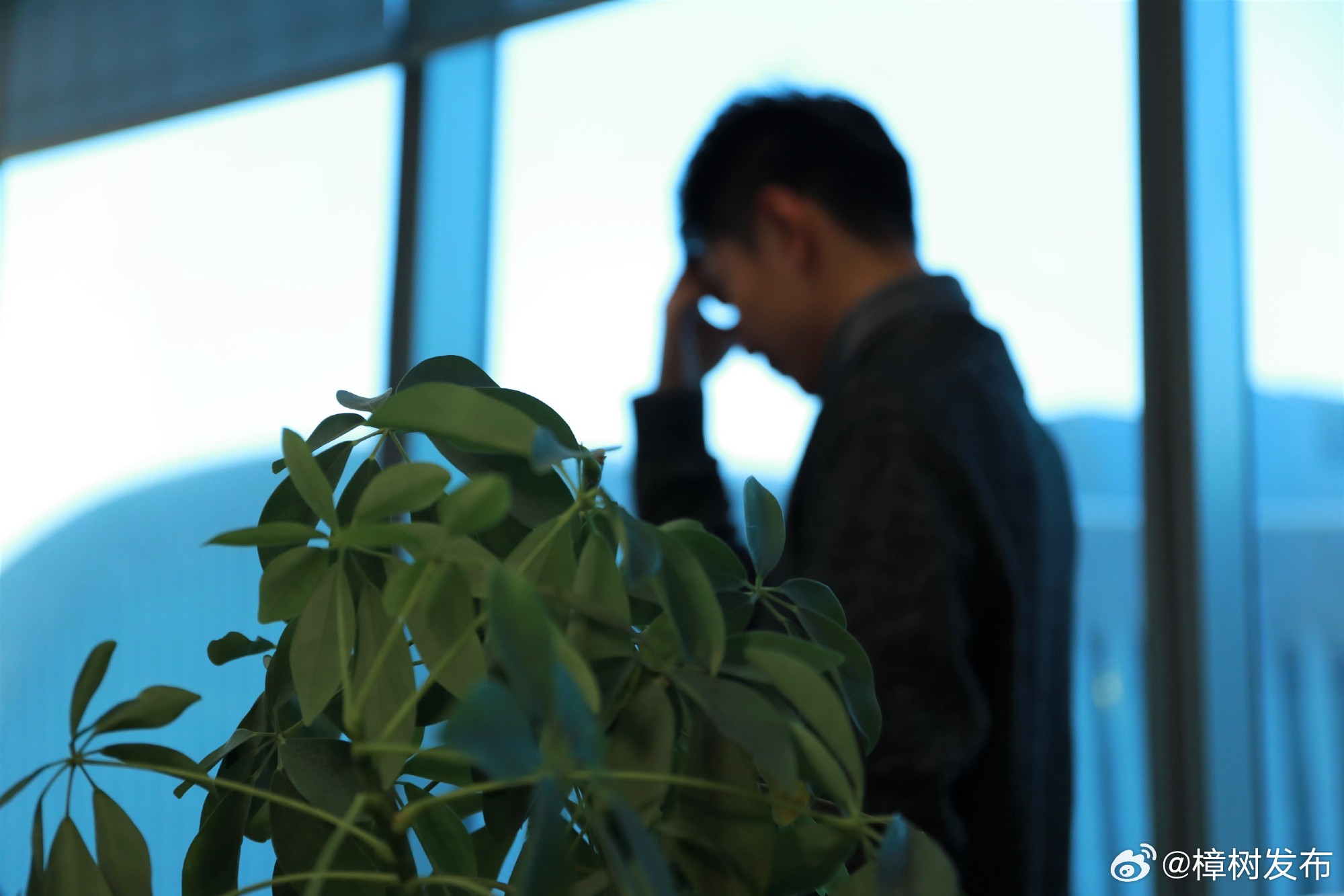 有人觉得，熬个夜白天再补觉就可以了，其实，熬夜的危害远远超过了我们的想象，补觉也