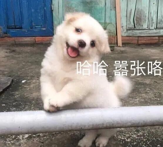 网页链接  全员！带tag转发扩散！把智界的顶级待遇扩散出去让更多人知道！看看碰