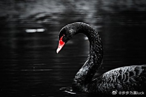 本次黑天鹅事件并不是美以伊开战，而是伊朗宗教领袖哈梅内伊被干掉之后，这个国家并没