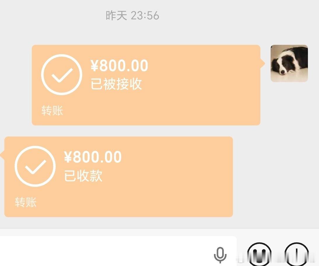 6月份家里的第一场battle实录！红方：12.5岁，蛇年出生，天蝎座小学六年级