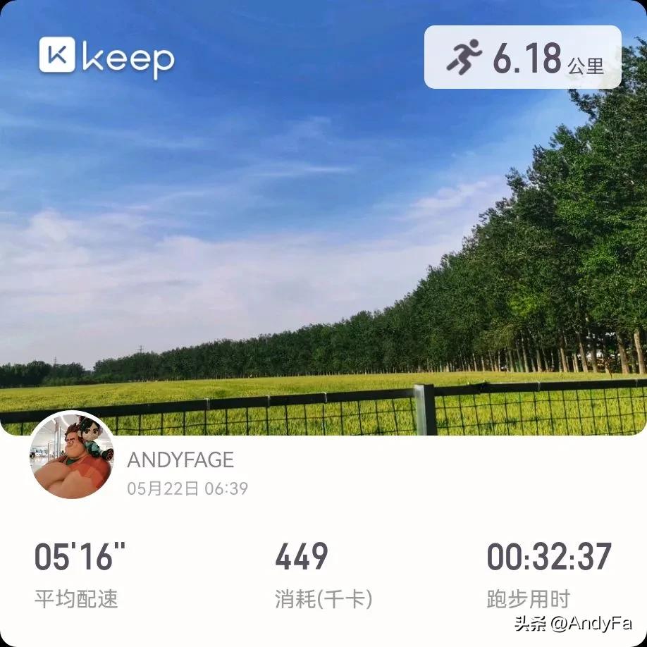 人生哪能事事尽在掌握呢？或许，放弃控制、坦然接纳、顺势而为，惊喜与快乐也会一并流