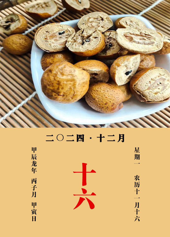 每天一味中草药  楝实，一名苦楝子，一名金铃子，今名川楝子，味苦，性微寒，归肝、