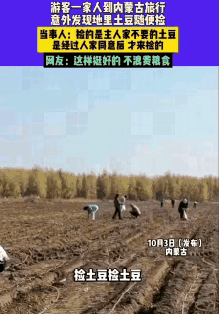 男子一家去内蒙古icon旅行，意外发现路边地里有很多土豆，于是跑到地里去捡，而主