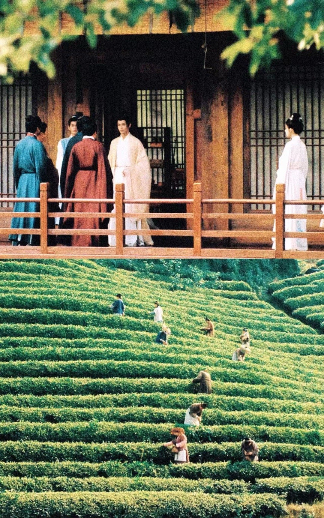 玉茗茶骨赵弈钦茶王101出道 别人还在荣府里狠狠雄竞，晏白楼却剑走偏锋，为大小姐