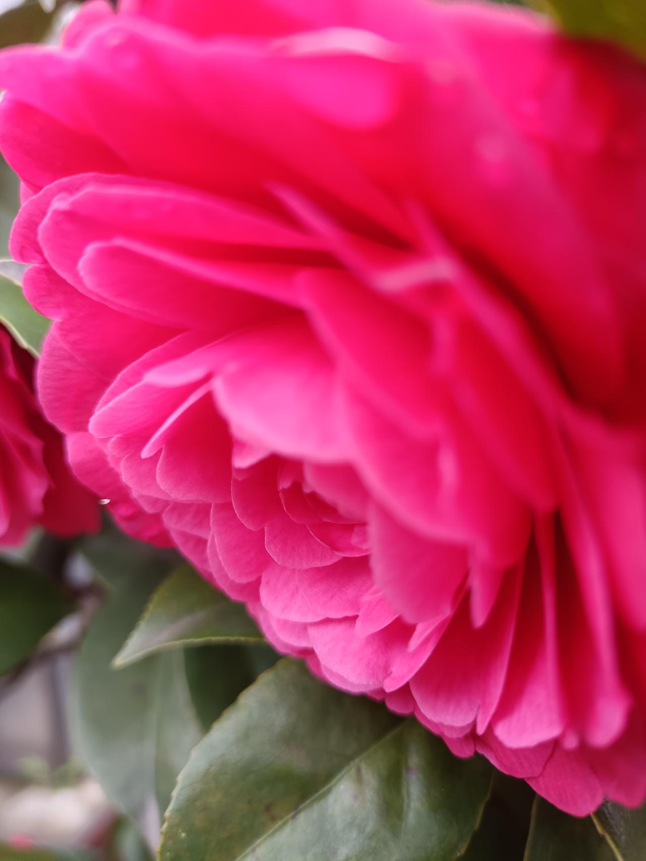 人与人之间最珍贵的东西是什么?