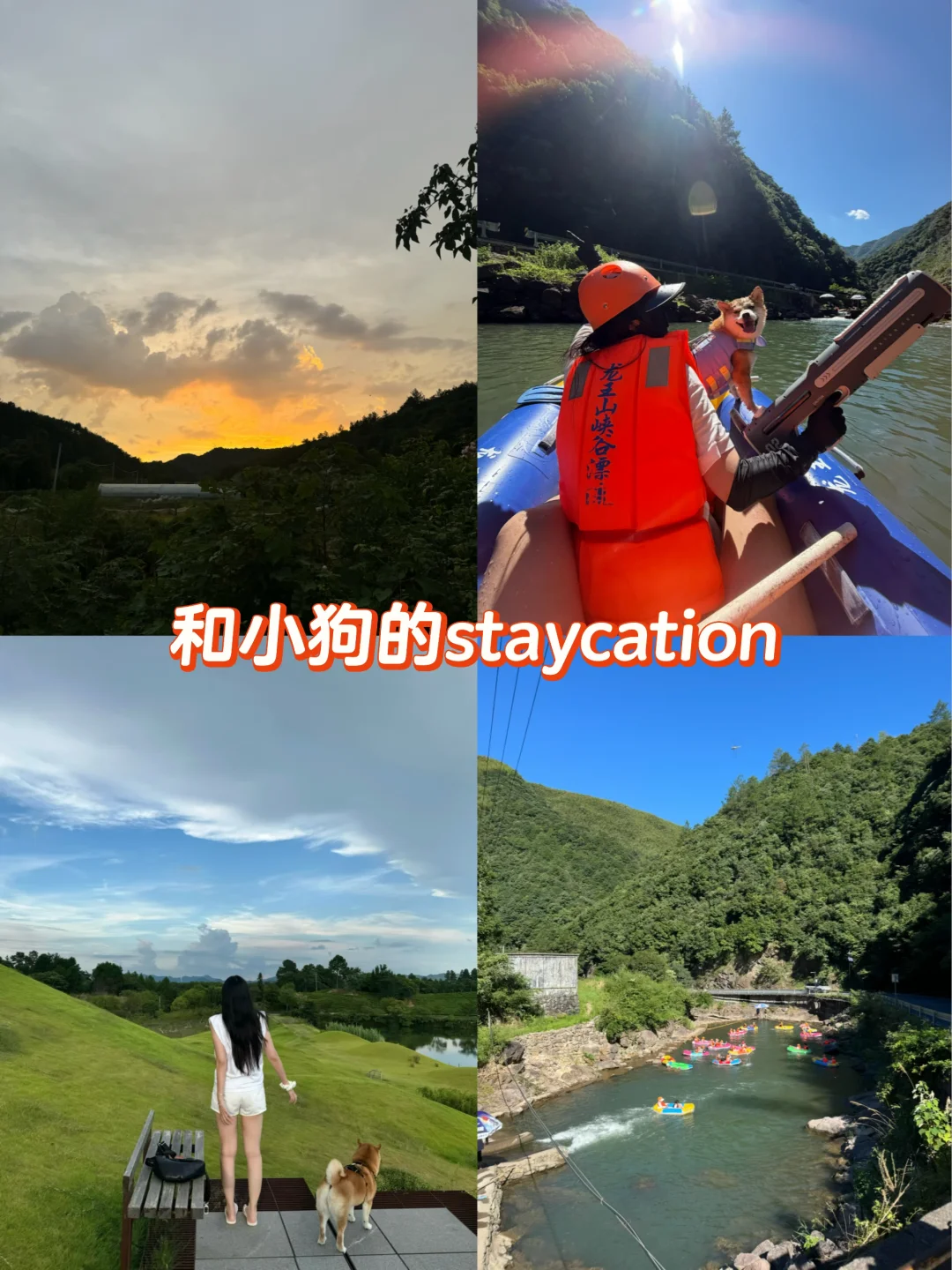 江浙沪周边玩水日记📔宠物友好攻略🐾