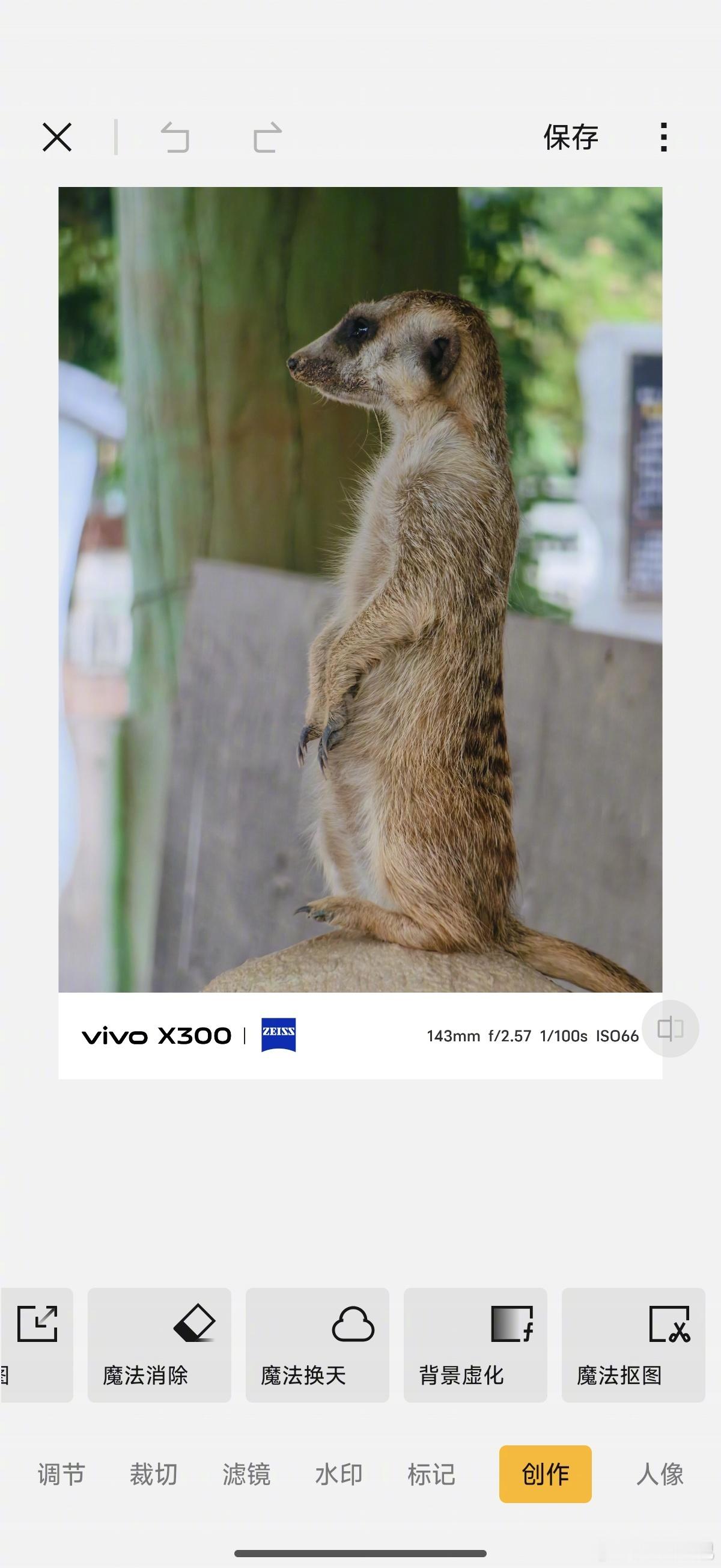 刚刚有朋友说 X300 拍出来有方形光斑不好看，现在大家的潜望长焦其实都是如此[