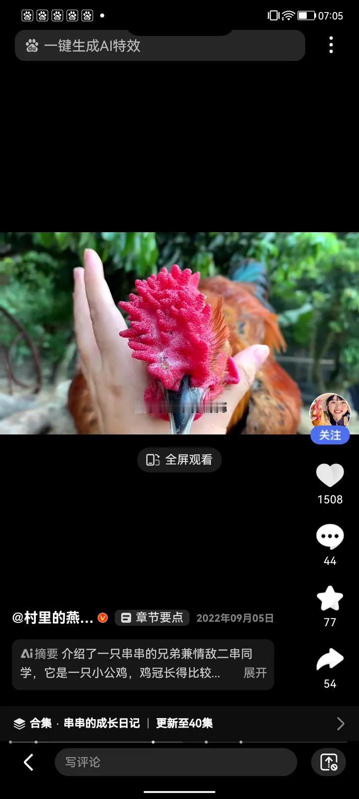 玫瑰花一样的鸡冠，第一次遇见


几天前，表妹送来一只自家养的鸡，已经宰杀收拾完