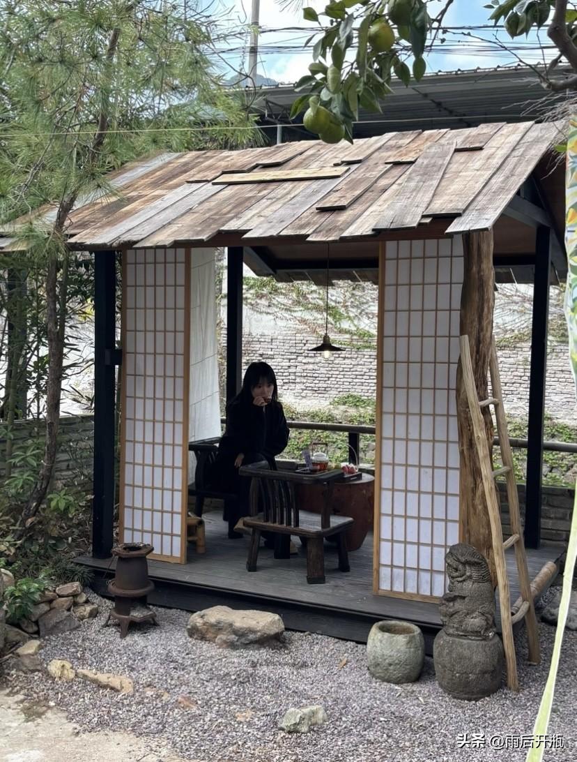 竹林深处，茶香满怀…