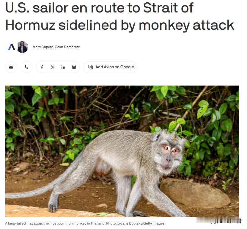 美国媒体AXIOS报道，本周一只泰国猴子成功“击伤”了一名美军水兵，并最终造成了