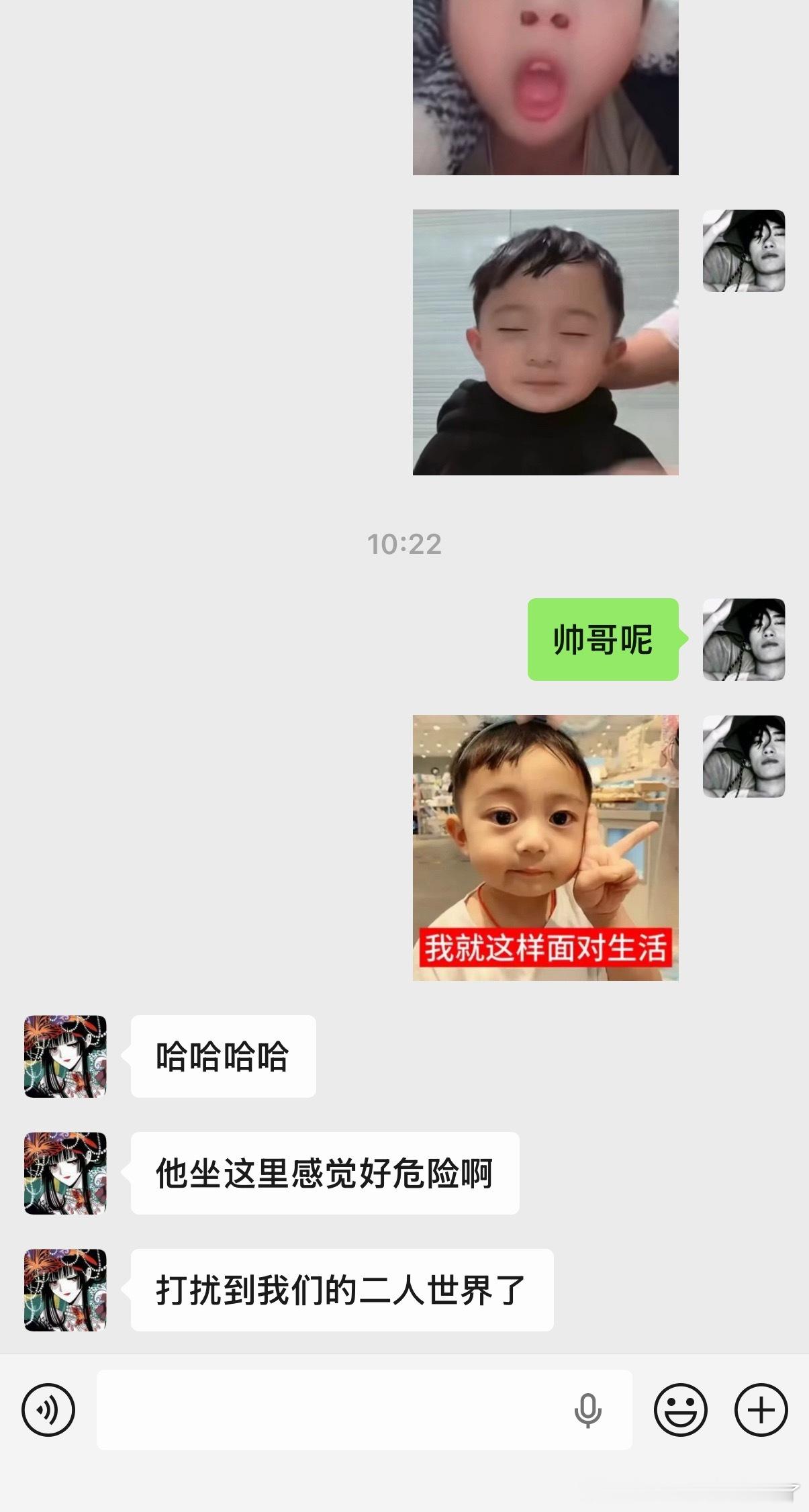 工位旁边来了个新人为何不是帅哥是个大熊熊。 