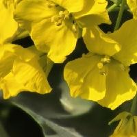 我的今日状态：😁轻松愉快
我这里的天气：☀️晴天