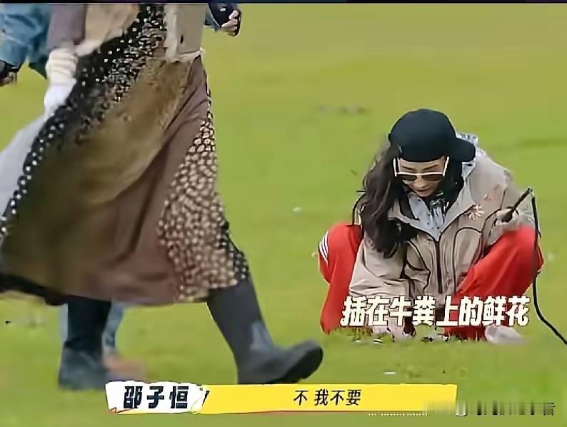 张柏芝竟然把牛粪上的花送给邵子恒戴，还好他发现了全过程。
张柏芝也是不拘小节。