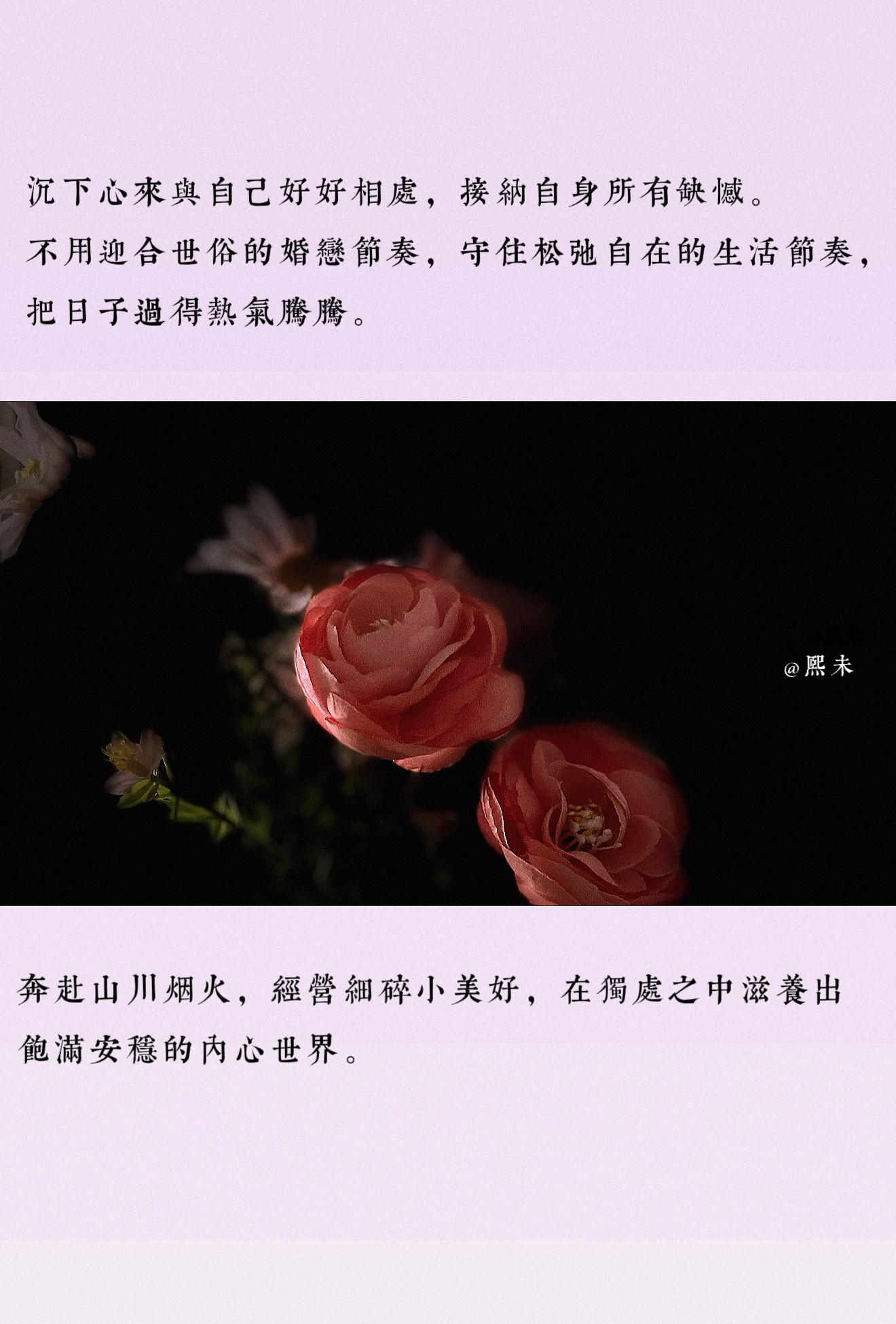 单身从来不是孤单落寞的代名词，而是一场专属于自己的自我发现与成长旅程。在无人牵绊