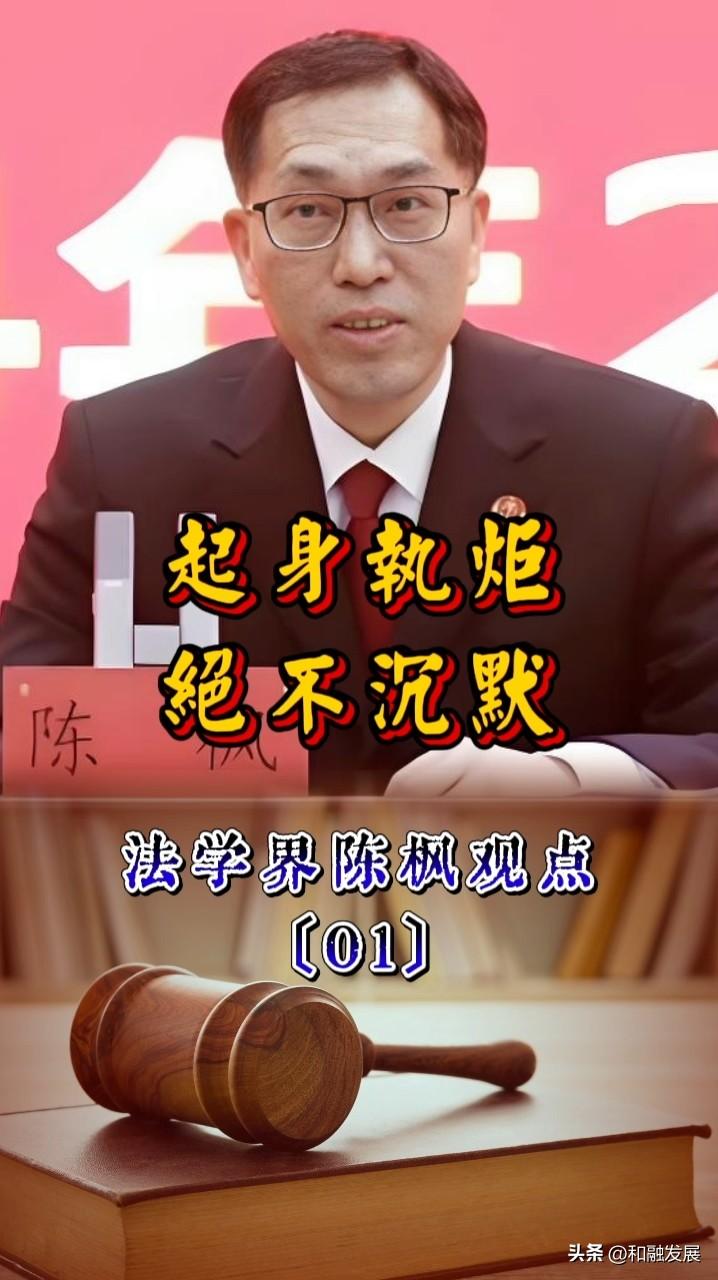 法学界陈枫语录精选〔01〕【起身执炬，绝不沉默！】面对某些舆论势力对法治环境的侵