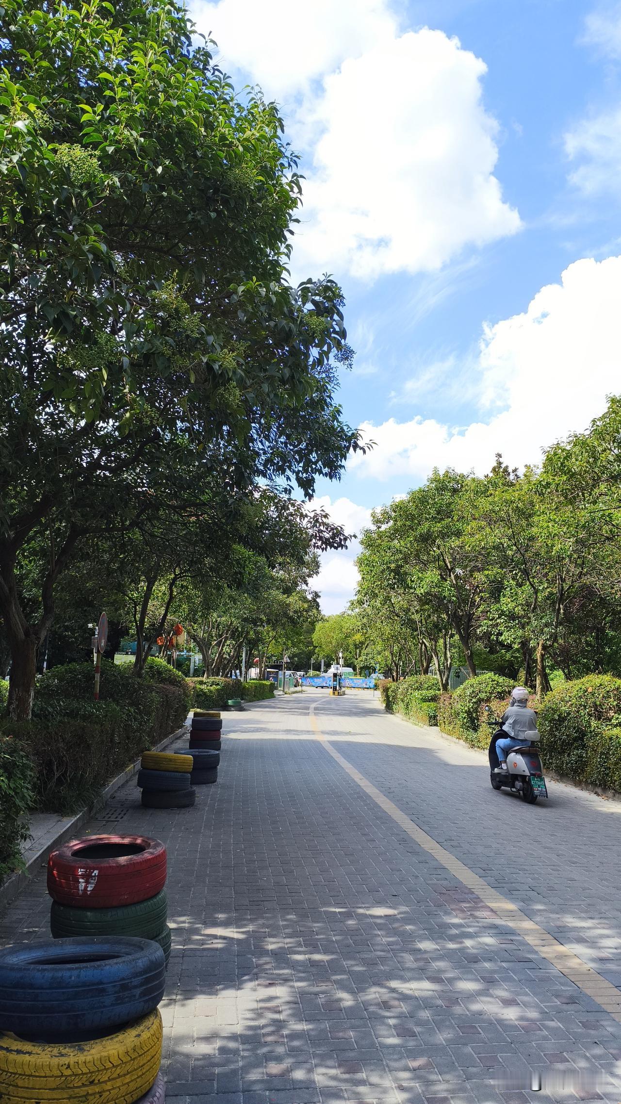 南京这天气简直是“高温刺客”！今天标着32度，可实际体感温度绝对超35度，热得我