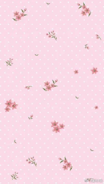 阳光信用  🌸阳光信用每日‎一善熊猫守护者‬ 🎀♡ ҉☆ ҉.☆‧₊˚ ♡ 