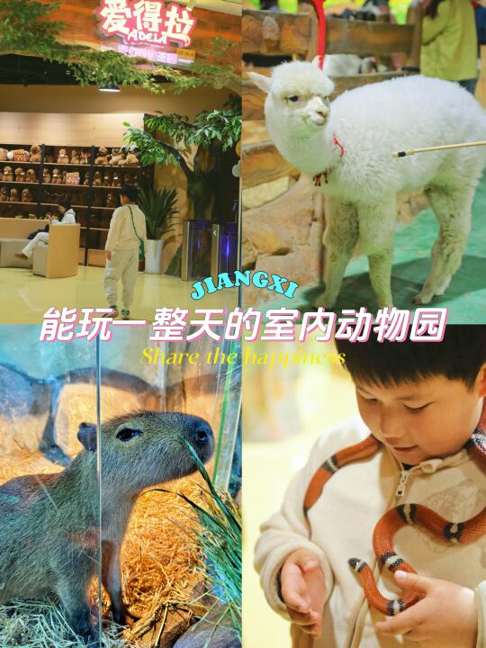 不是吧，在南昌这个动物园玩一天‼出不来️啦