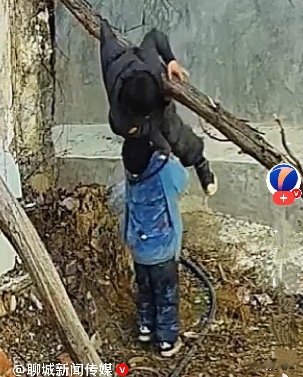 近日，湖南一哥哥淘气衣服被树枝挂住了，人下不来了，弟弟跑过来了的意思是想救哥哥，