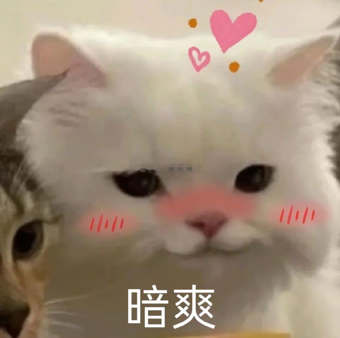 我要被我家人和🐺逗死了这几天准备去考试，刚做对一道题我姐就夸我一看就是考试的料