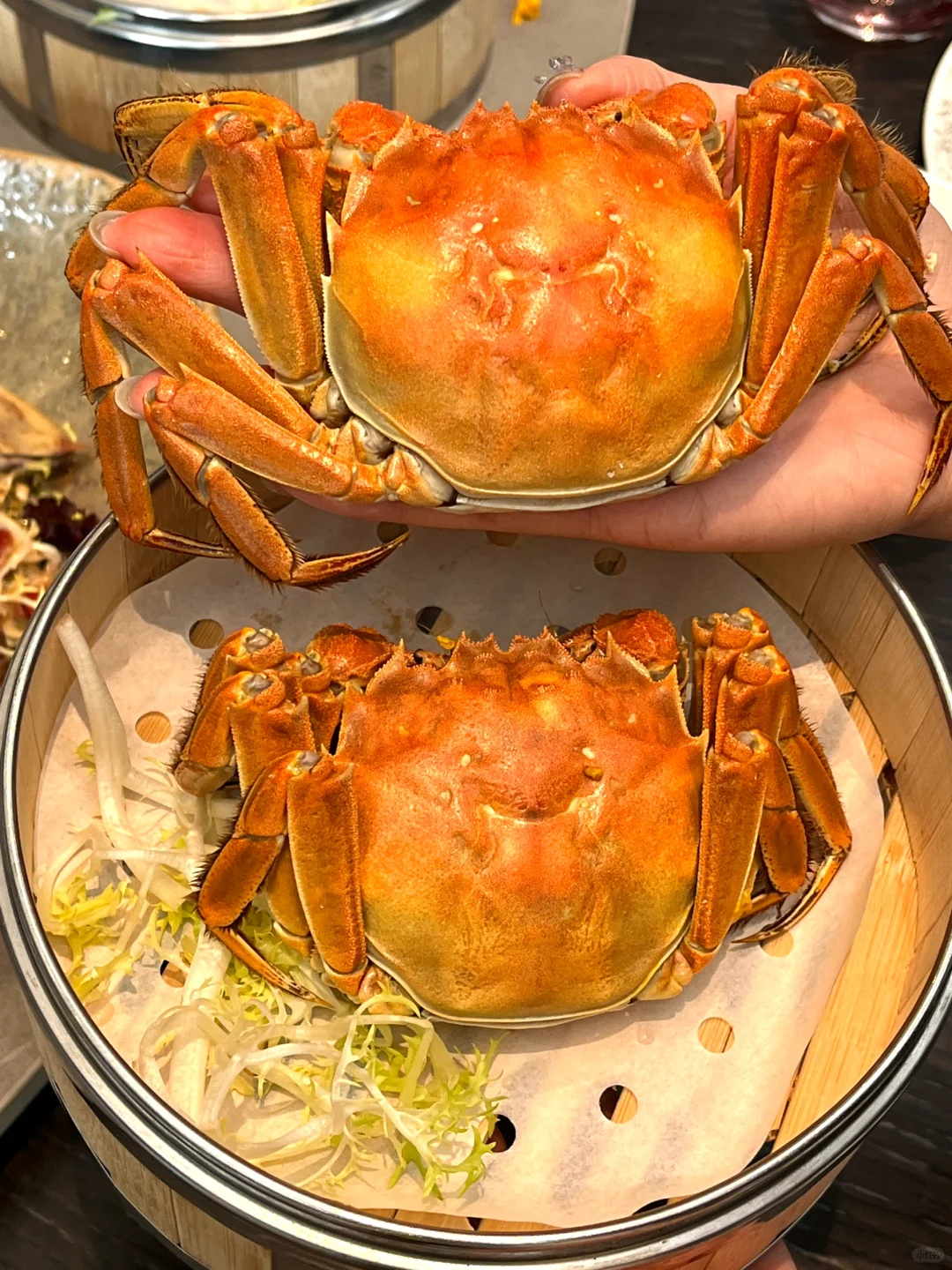 绝了！面朝金鸡湖吃🦀的浪漫谁懂啊！