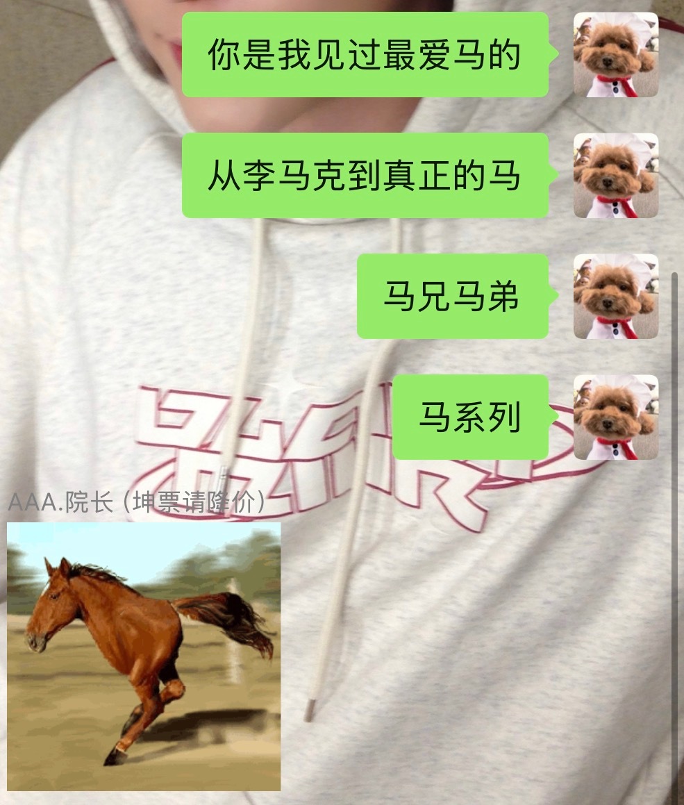 全世界最爱马之人 