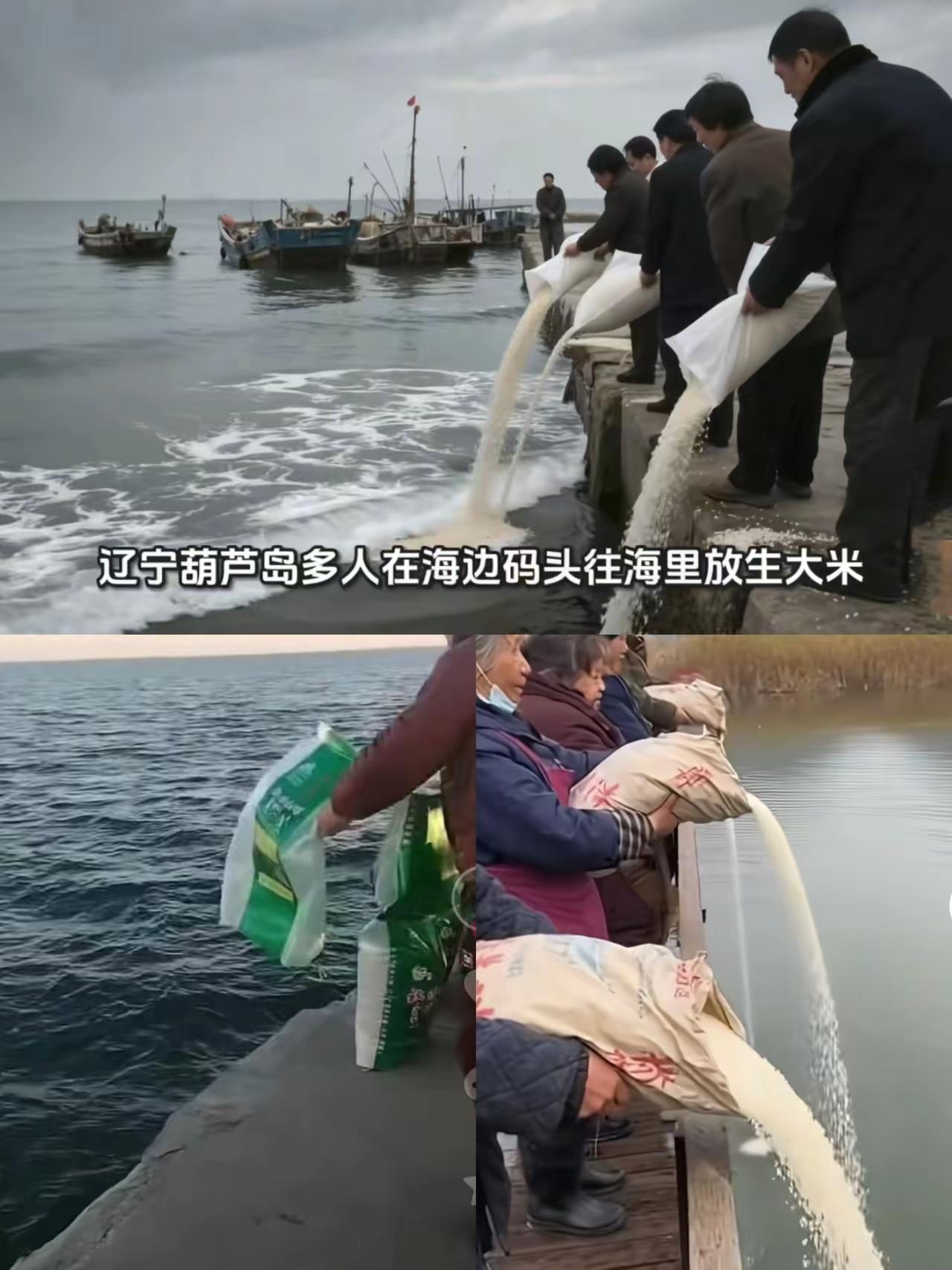 人真不能闲得慌！辽宁葫芦岛几位老人往海里倒两千斤大米“放生”，边倒边念叨还放着音