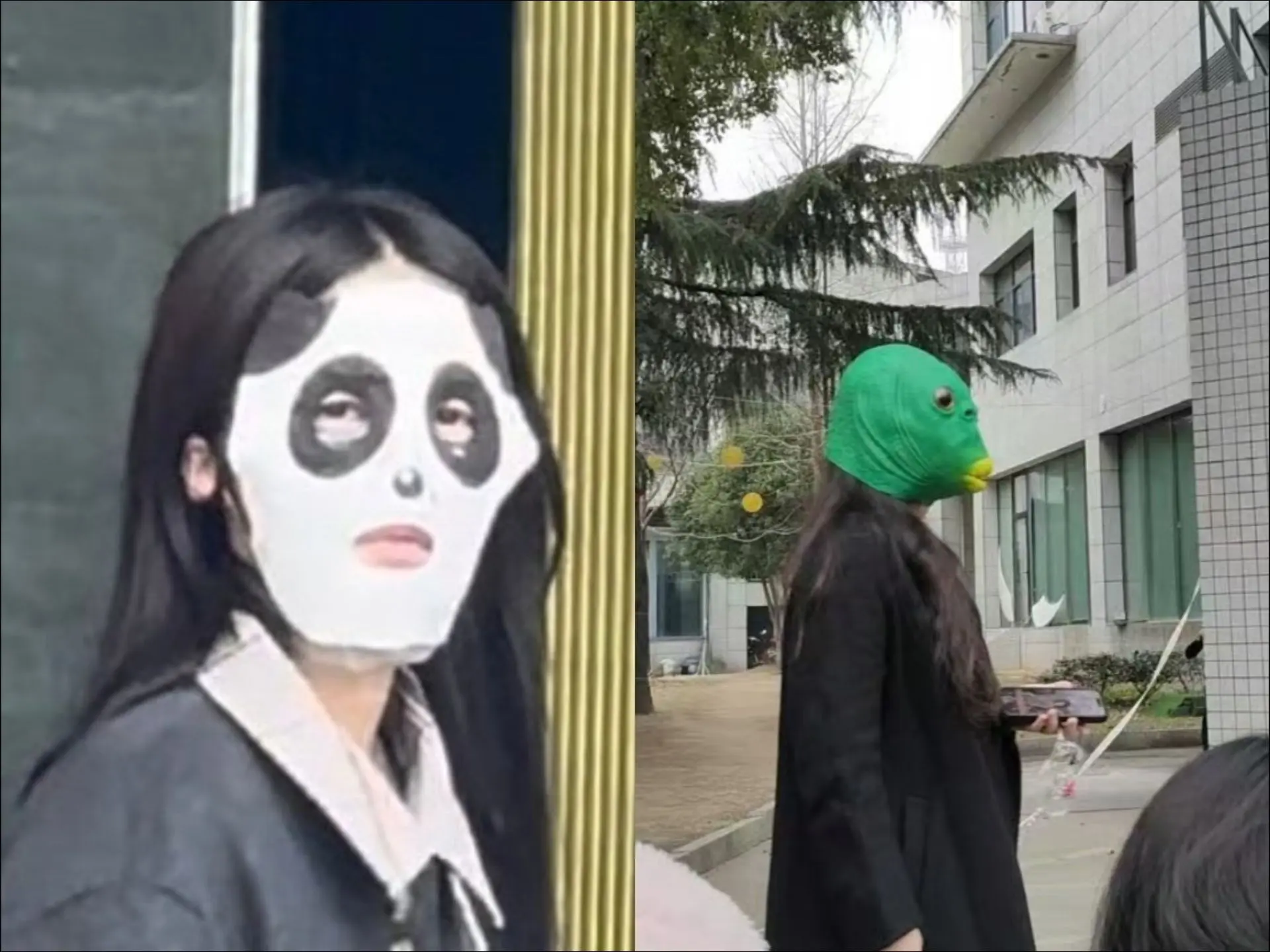 不是一家人，不进一家门（哈哈哈哈哈）向全世界安利白鹿