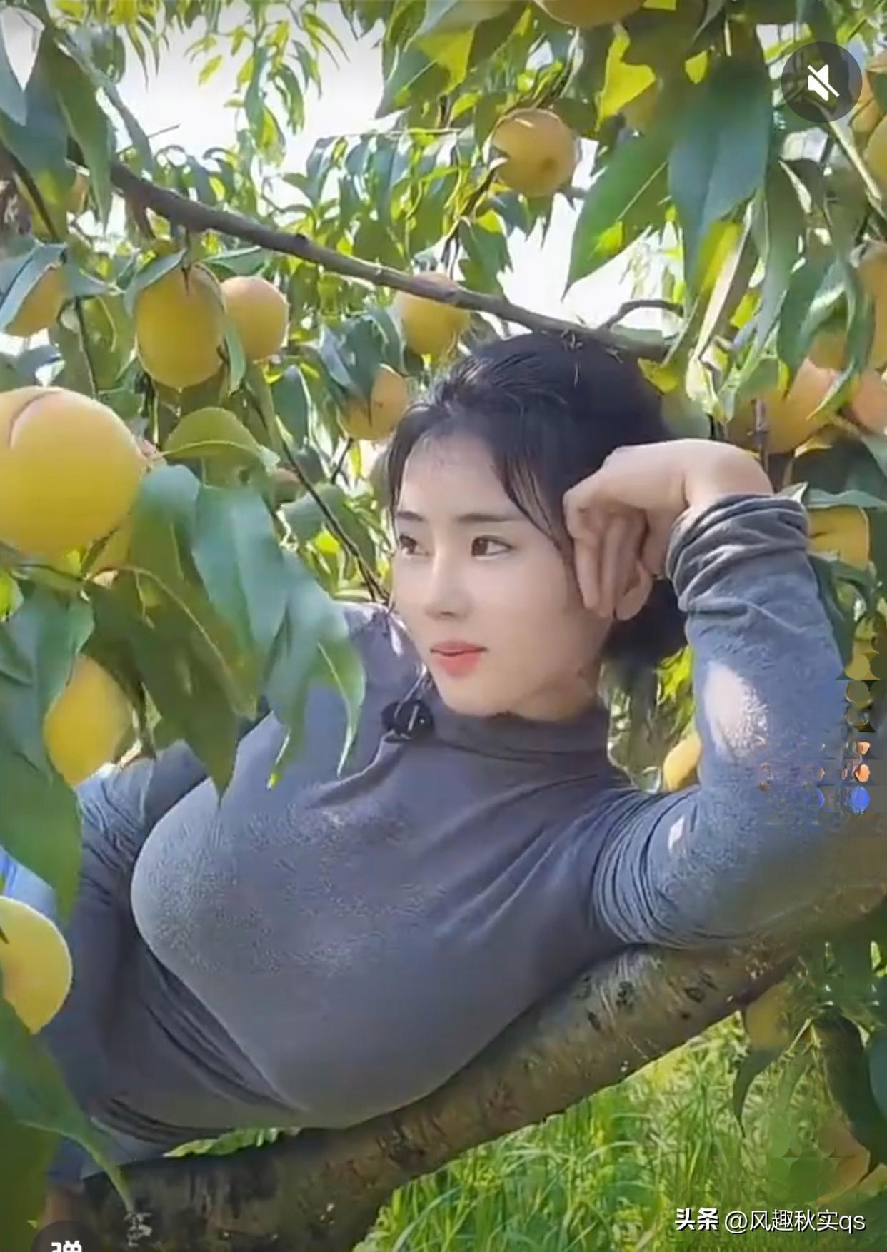 硕果累累，生活处处圆满。