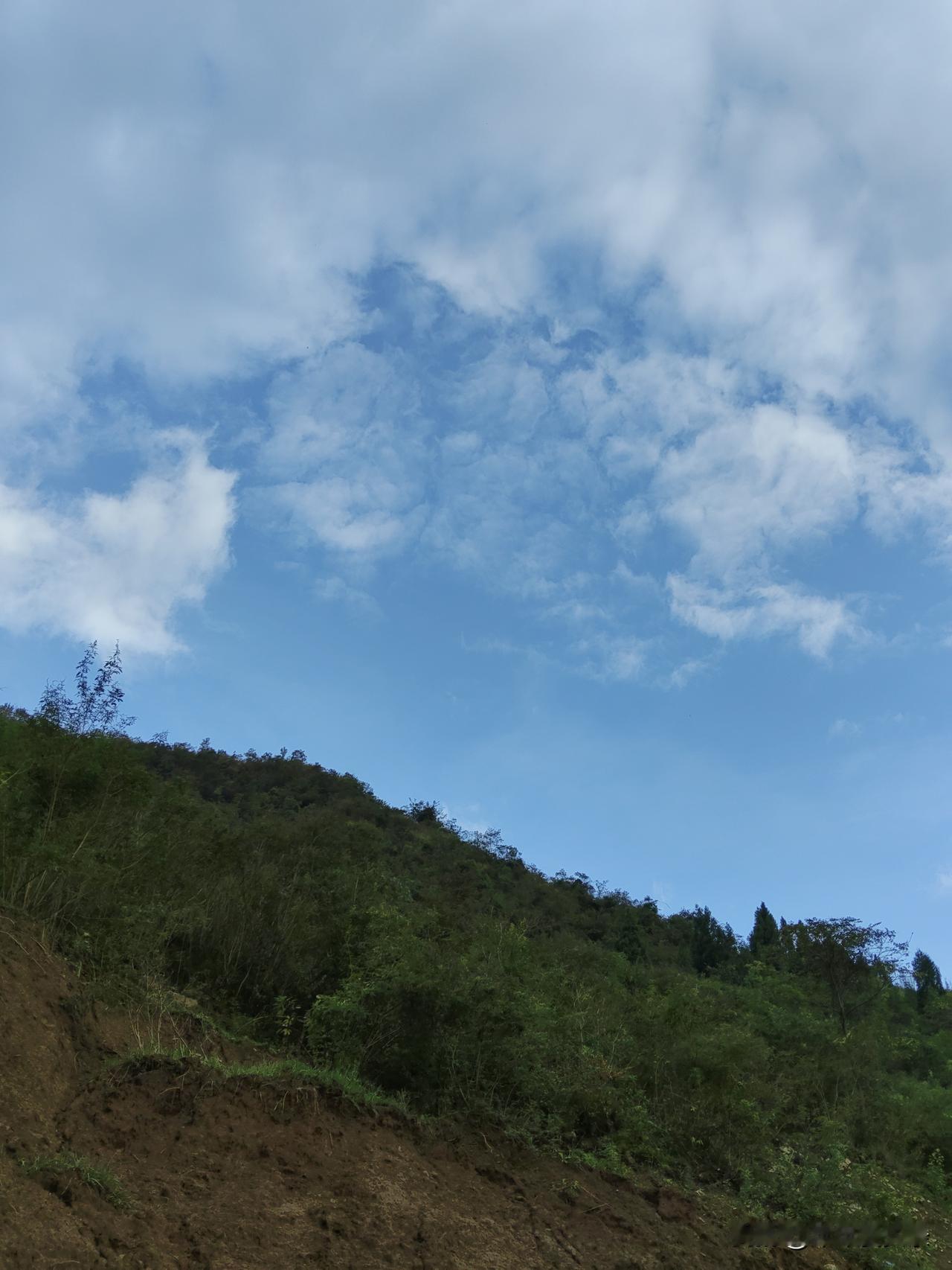 山峦把绿意叠成浪，云朵在蓝天里游荡，风穿过林梢，把疲惫悄悄吹散。原来自然从不吝啬