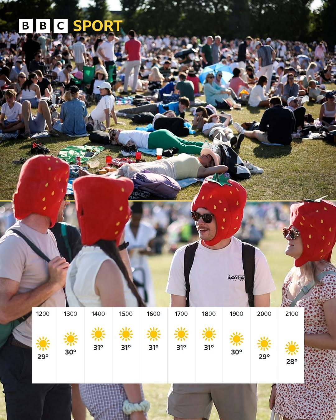 📣今夏最火时尚单品：草莓“防晒帽”🍓高温也无法阻挡球迷的热情☀温网2025首