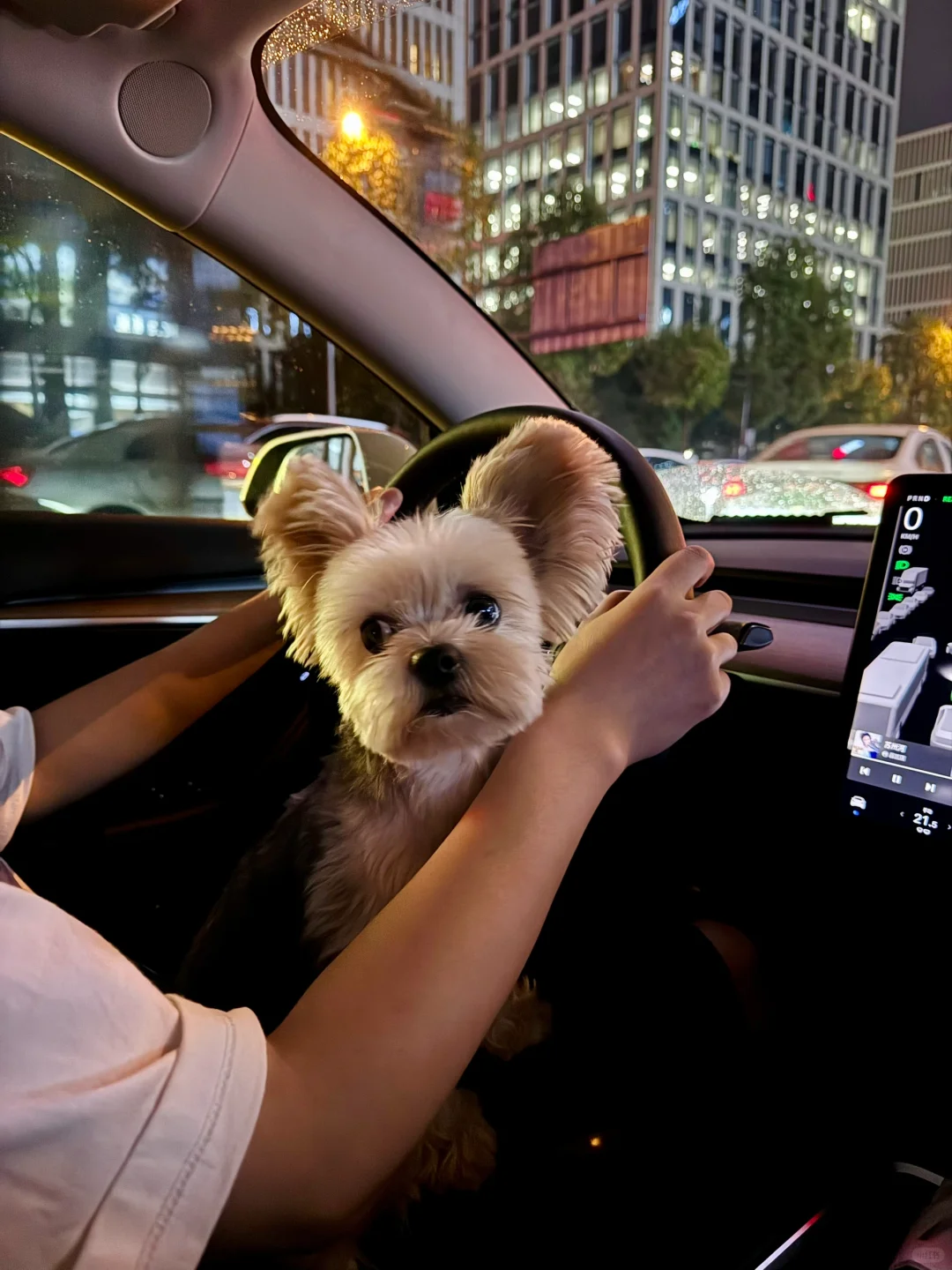 爸爸被抓了找你要罚款